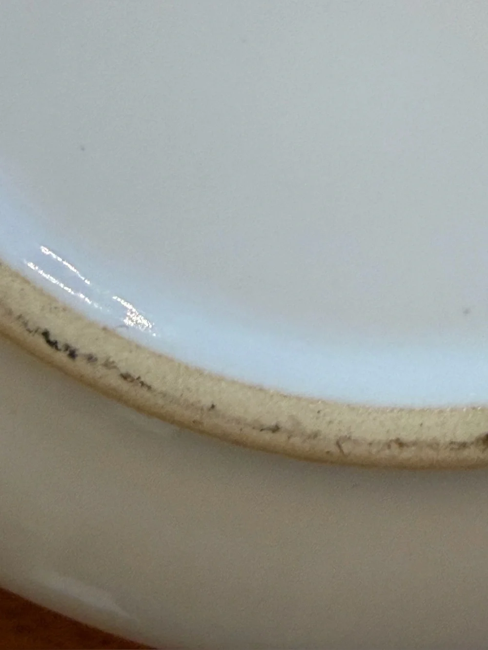 Signature Housewares Thirsty Ceramic Pet Dog Cat Bowl Double Sided Paw Print 6